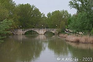 Puentecillas