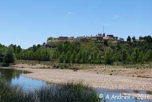 Panorámica de Abia desde el río