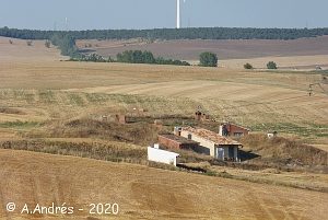 Bbodegas tradicionales