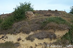 Restos del castillo