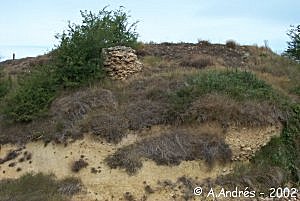 Restos del castillo