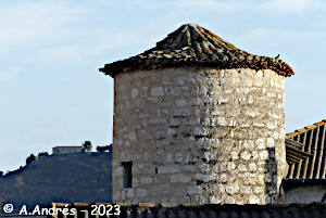 Torre del palacio