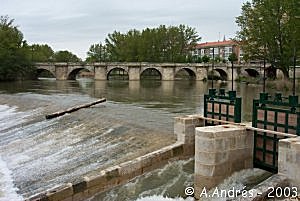 Puente Mayor