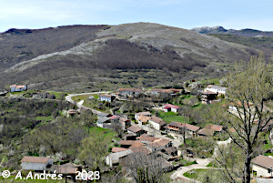 Panorámica