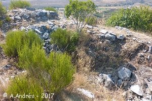 Restos del castillo