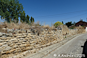 Restos de la muralla calle Sab Miguel