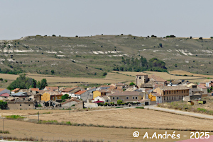 Panorámica de la localidad