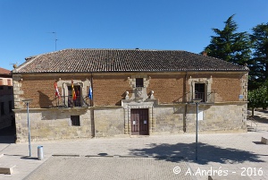 Antiguo palacio de los Condes de Villalcázar de Sirga